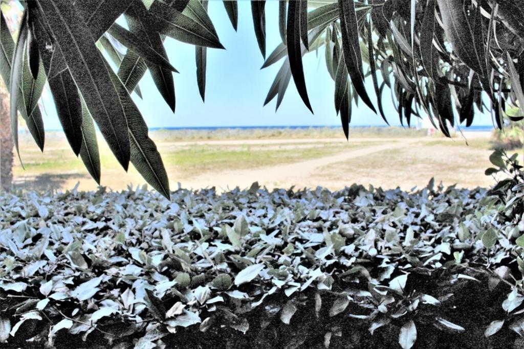 Mer Er Plage 403 Сен-Сиприен Экстерьер фото